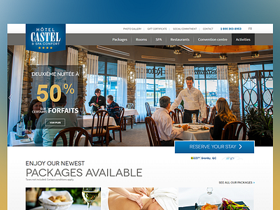 Hotel Castel & Spa Confort - Responsive Web Design color combination css developer development hotel html inner pages media queries responsive responsive website