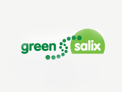 create Green Salix Logo Design brand flat identity illustration logo website