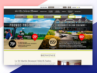 Create Lestmartinbromont Web Design color combination css developer development html inner pages website