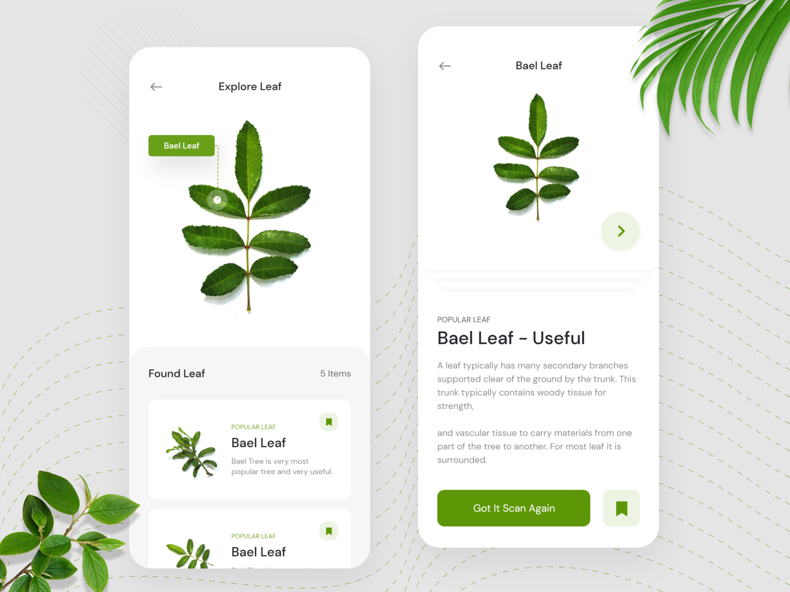 Leaf Scanner App Concept AI by ΞASIN ARAFAT🔥 for ITO Team on Dribbble