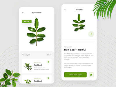 Leaf Scanner App Concept - AI