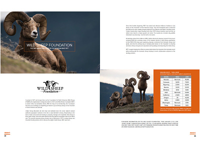 SITKA Gear Insight Spread WSF brand book clean hunting magazine product simple sitka gear