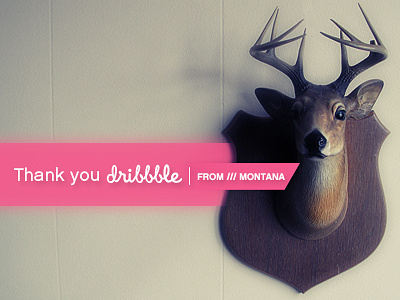 Thank You Dribble debuts deer montana thank you