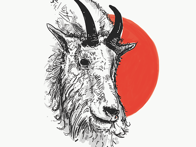 Mountain Goat digital goat illustration mountain mountain goat