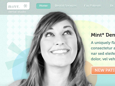 Mint mobile website web design website