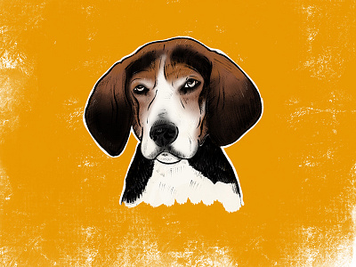 Hound Portrait digital drawing dog hound illustration ipad pro