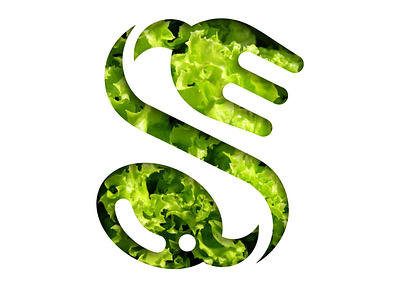 SnackSnap logo - green