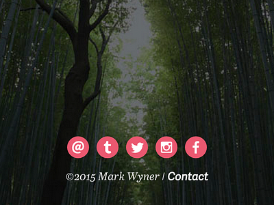 Contact/Social Footer contact footer menu navigation social