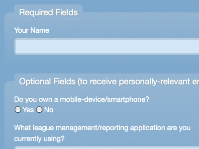 Denoting Required Fields forms gui validation web design web forms
