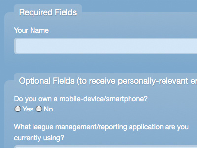 Denoting Required Fields