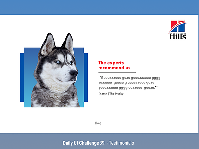 Testimonial app dailyui dog hills husky icon testimonal ui uichallenge user experience ux web