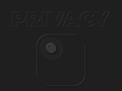 Privacy Safe Icon