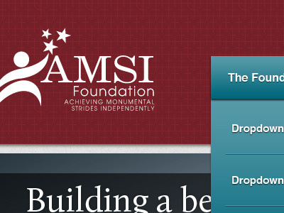 AMSI Foundation Header dropdown header logo website