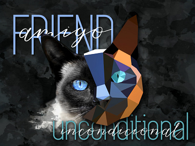 Unconditional friend cat illustration typography visual design