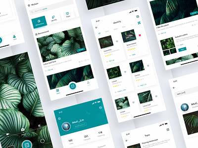 Plant Encyclopedia APP Design app app，ui design icon icon，ui ui