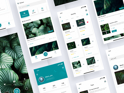 Plant Encyclopedia APP Design