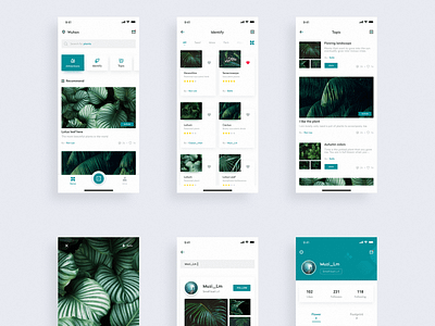 Plant Encyclopedia APP Design by 𝙈𝙪𝙯𝙞 for BestDream on Dribbble