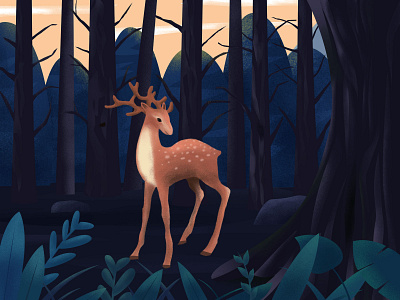 deer illustration