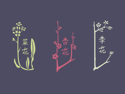 Cauliflower, apricot flower and Li Hua drawing