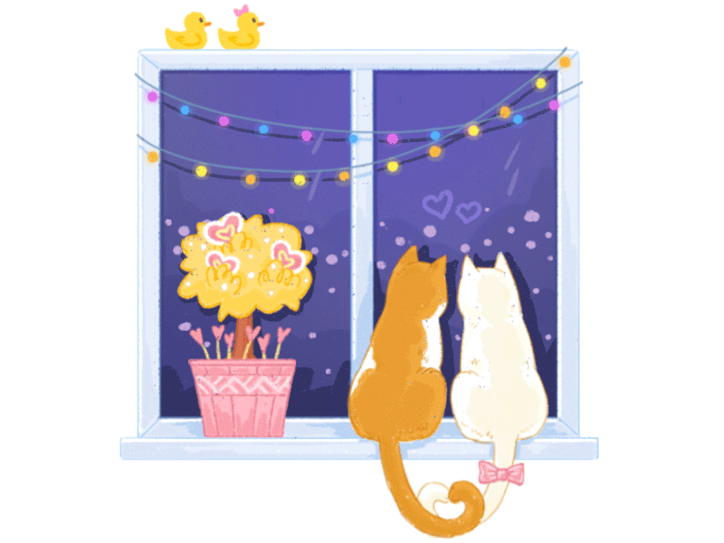 2.14 Cats illustration