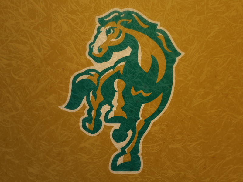 Bronck logo sports athletics steed mascot bronco horse