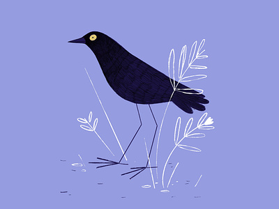 What !? bird birds color illustration illustrator violet