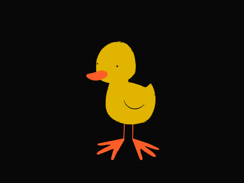Duck animation color duck illustration illustrator