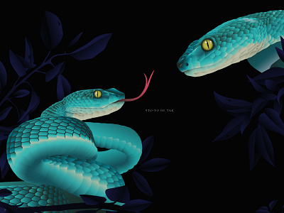 snake animals black color colorful design digital gradient graphic illustration illustrator nature reptile snake vector zoo