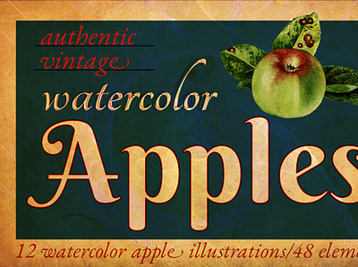Authentic Vintage Watercolor Apples Volume 1 apples artwork food for sale fruit graphic design graphics illustration vintage watercolor