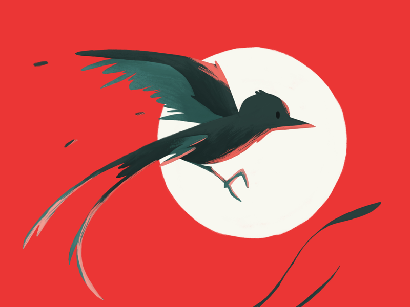 Scissortail Flycatcher minimal cartoon flat simple color poster animal scissortail vibrant red illustration design postcard bird