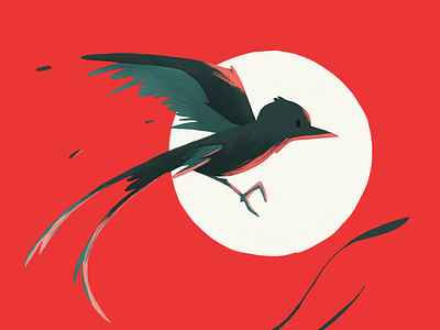 Scissortail Flycatcher animal bird cartoon color design flat illustration minimal postcard poster red scissortail simple vibrant
