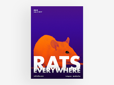Day 063 bold daily futura graphic design mouse orange poster rat type typography