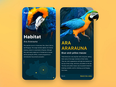 Zoo anthology UI app color colorful custom design interaction interface interface design mobile mobile ui mobile uiux ui ui ux uiux design ux