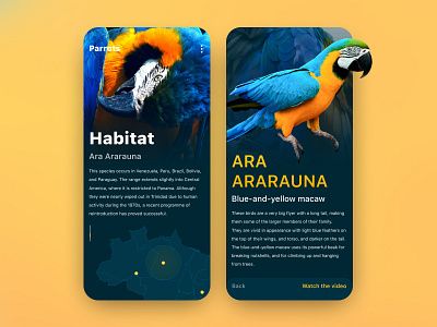 Zoo anthology UI