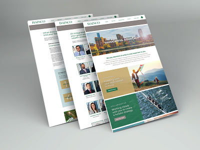 Bainco International Investors Website Redesign adobe xd finance web design website website redesign