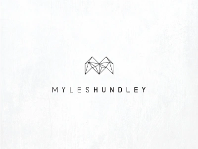 Myles Hundley Concept 3d animator branding geometric modeling polygons wireframe