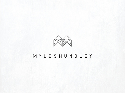 Myles Hundley Concept 3d animator branding geometric modeling polygons wireframe