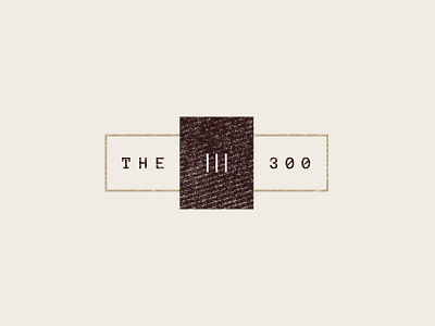 The 300 300 brand identity branding brush chicago grunge typography