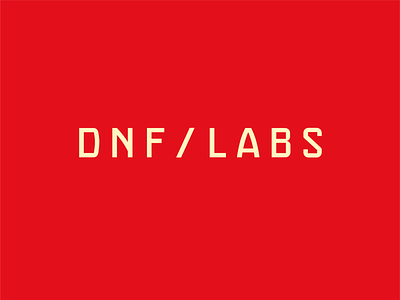 Unused logo option for DNF LABS clean logo dnflabs handlettering lettering modern logo rejectedlogo tech logo type logo unusedlogo wordmark wordmark logo