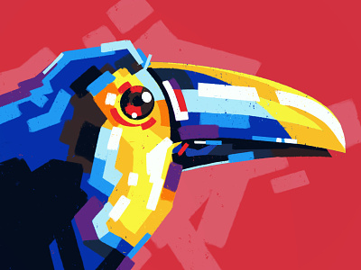 Toucans bird colour flat graphic illustration ipadpro procreate vector web