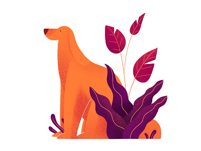 Dogg dog draw flat graphic illustration ipad ipad pro logo orange purple