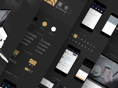 HEIKA app black branding financial flat gold graphic icon illustration logo product typography ui user experience ux vis web