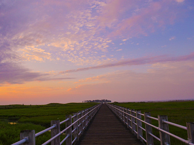 Boardwalk Through Marsh Under Bright Purple Sky app branding branding design design icon illustration landing page landing page design logo photoshop sky tour travel travel agency typography ux web deisgn webdesign wordpress wordpress design