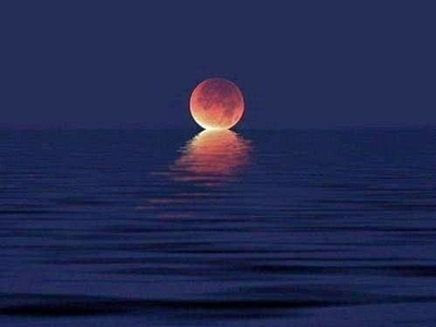 When the moon kisses the ocean by khairuzzaman Mridha on Dribbble