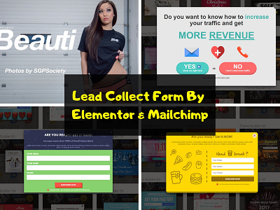 Lead Collect Form By Elementor & Mailchimp