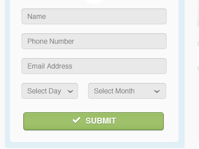 Contact Form button contact dropdown form green input