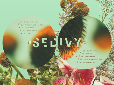 SEDIVY Vinyl Label Design album art design graphic design music richmond typography vinyl