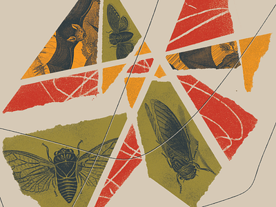 Cicada Collage collage design gig poster graphic design halftone illustration music richmond