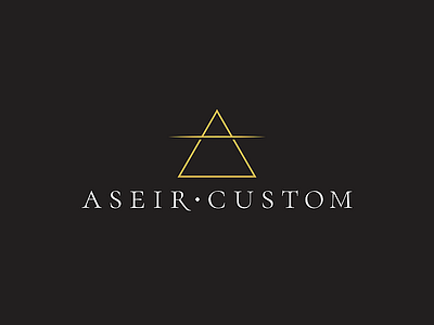 Aseir Custom Logo