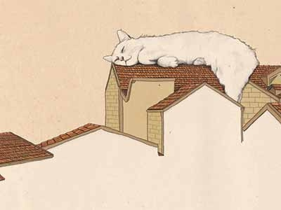 Mishkenot calm cat day illustration jerusalem magic roof sleep